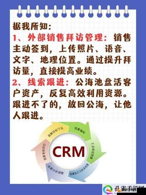 成免费的 CRM 透露不直播后就会婚嫁：背后的情感抉择与未来规划